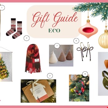 Gift Guide Eco